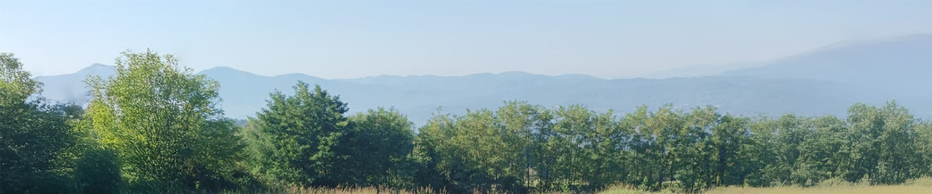 Bosna’da Arıcılık: Avrupa Dayanışma Programı (ESC) Gönüllülük Projesi